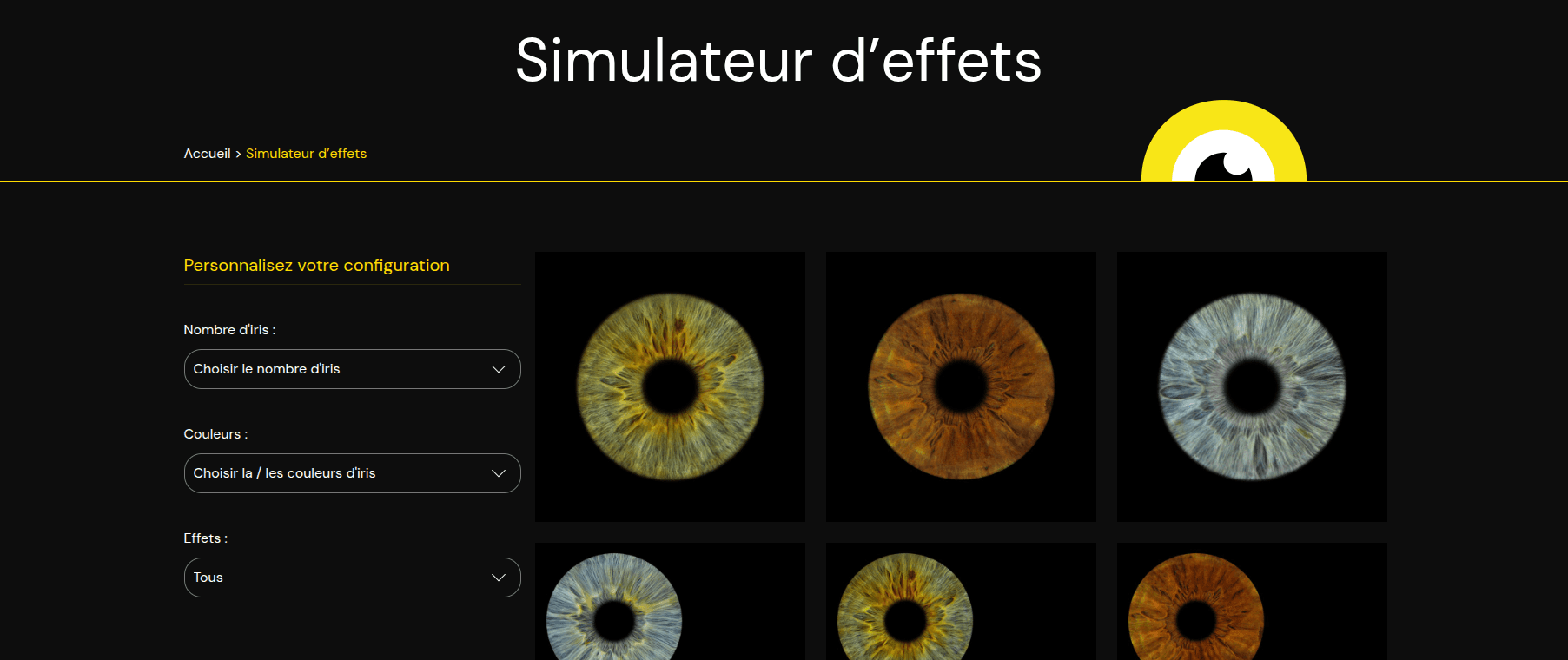 Simulateur d'effets interactif pour compositions artistiques d'iris